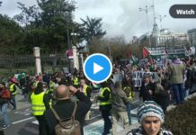 Tausende protestieren in ganz Spanien gegen den Völkermord in Palästina