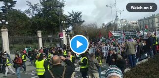 Tausende protestieren in ganz Spanien gegen den Völkermord in Palästina