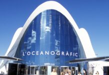 42 Millionen Liter Salzwasser das Größte Aquarium Europas steht in Valencia