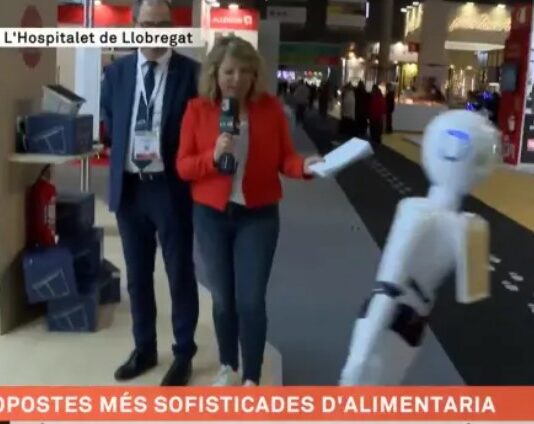 Der Roboter-Kellner der angesichts der Passivität seines Promoters live im Spanischen TV Selbstmord begeht
