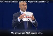 Deutscher FDP Parlamentspräsident dreht Spanischem VOX Abgeordneten im Europaparlament das Mikro ab