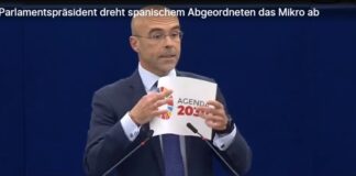 Deutscher FDP Parlamentspräsident dreht Spanischem VOX Abgeordneten im Europaparlament das Mikro ab