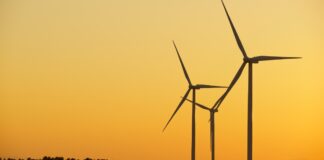 Die Entwicklung von Industrieprojekten in Galicien ist durch die gerichtliche Lähmung von Windparks gefährdet