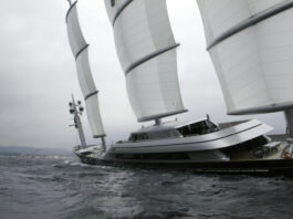 Maltese Falcon MAllorca