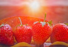 Der Trick um zu wissen ob Erdbeeren aus Spanien oder Marokko stammen