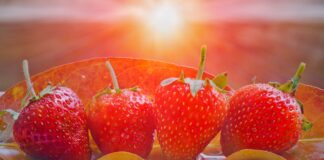 Der Trick um zu wissen ob Erdbeeren aus Spanien oder Marokko stammen