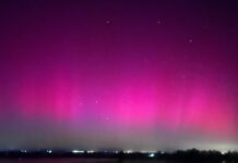 Die Nordlichter kehren nach Spanien zurück