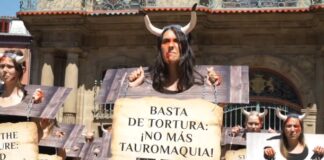 Sechs Verletzte beim Lauf der Stiere von Sanfermines in Pamplona
