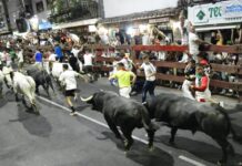19 Verletzte beim Lauf der Stiere der Feierlichkeiten von San Sebastián de los Reyes