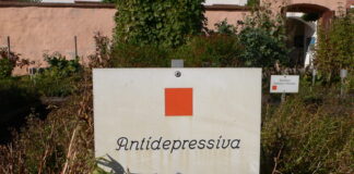 Antidepressiva