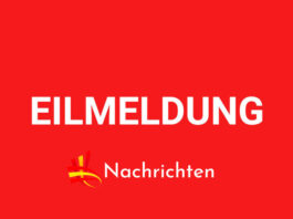 Eilmeldung-Nachrichten.es