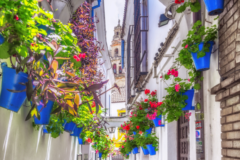 Calleja de las Flores 1