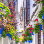 Calleja de las Flores