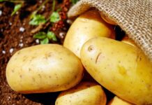Kartoffeln sind in den letzten drei Jahren im Spanischen Supermarkt fast 50 % teurer geworden