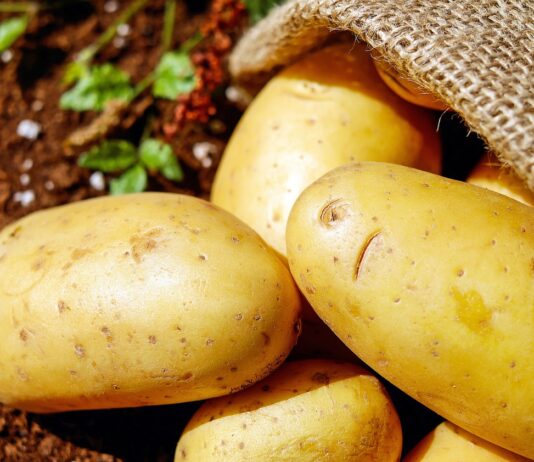 Kartoffeln sind in den letzten drei Jahren im Spanischen Supermarkt fast 50 % teurer geworden