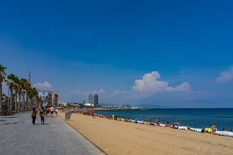 La Barceloneta