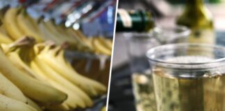 Im Jahr 2023 wurden auf den Kanarischen Inseln 26,5 Millionen Kilo Bananen weggeworfen Jetzt macht man daraus Bananenwein