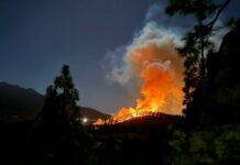 Die Kanarischen Inseln erwachen nach einem Waldbrand auf La Palma