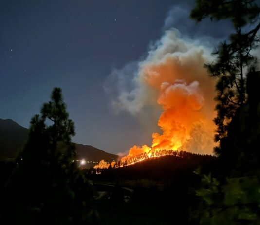 Die Kanarischen Inseln erwachen nach einem Waldbrand auf La Palma