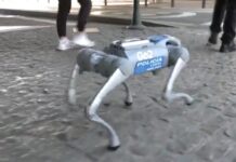 Go2 der neue Superagent mit künstlicher Intelligenz der durch die Straßen von Málaga patrouilliert