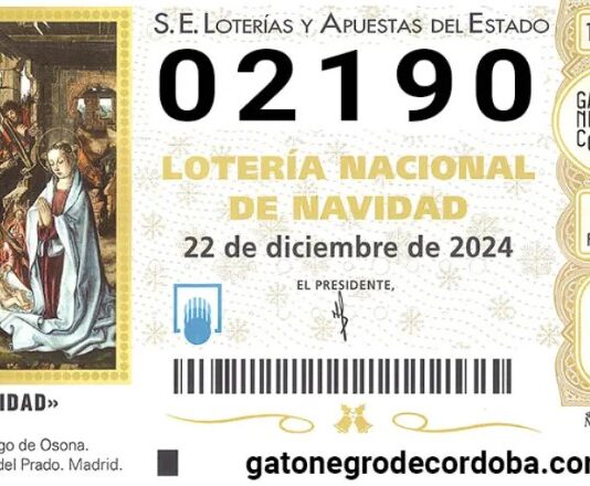Weihnachtslotterie 2024