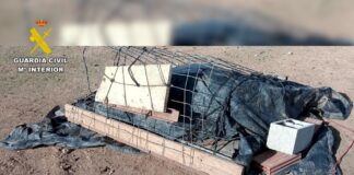 Ein Spanisches Paar wird wegen Tierquälerei verhaftet, nachdem in Alicante eine Farm des Schreckens entdeckt wurde
