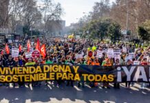 Demo Wohnen Madrid Februar 2025