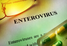 Enterovirus Spanien