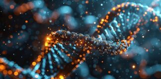 Genome DNA Spanien