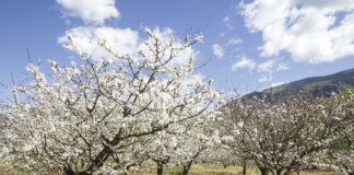 Jerte-Tal in Extremadura