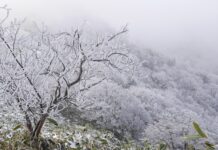 Kältewelle Spanien