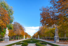 Retiro-Park in Madrid