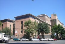 Die CAR-T-Therapie im Hospital Clínic Barcelona schafft es, den Krebs bei mehr als der Hälfte der 502 Patienten verschwinden zu lassen