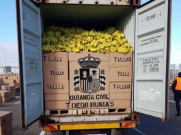 Container TCLU1210545: die Spur des größten Kokainlagers in der Geschichte Spaniens