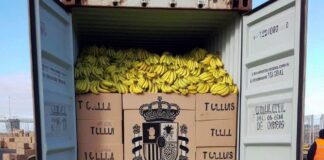 Container TCLU1210545: die Spur des größten Kokainlagers in der Geschichte Spaniens