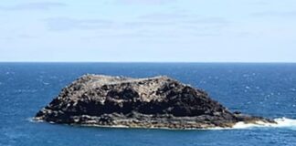 Geheimnisvolle Kanareninsel: Wo Spaniens schönste Liebesgeschichte verborgen liegt