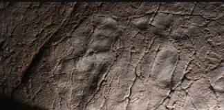 Die ältesten menschlichen Fußabdrücke im Mittelmeerraum wurden in einer Höhle in Málaga entdeckt