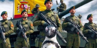 Weltpinguintag mal anders: Die spanische Armee ruft zur Pinguin-Patenschaft auf – Helfen Sie mit!