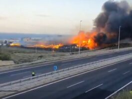 Ein Brand in einer Industriehalle auf Teneriffa führte zur vorübergehenden Sperrung der Autobahn