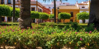 Savannenwaran in Spanien: Afrikanischer Mini-Drache bedroht Ökosystem und Gesundheit