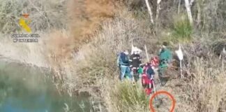 Bestialische Tierquälerei in Arganda: Hund brutal mit Ketten angebunden an Betonblöcken ertränkt