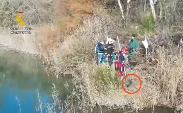 Bestialische Tierquälerei in Arganda: Hund brutal mit Ketten angebunden an Betonblöcken ertränkt