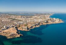 Torrevieja verdoppelt die Belegschaft und verdreifacht die Ressourcen für die Vorbereitung seiner Parks und Gärten