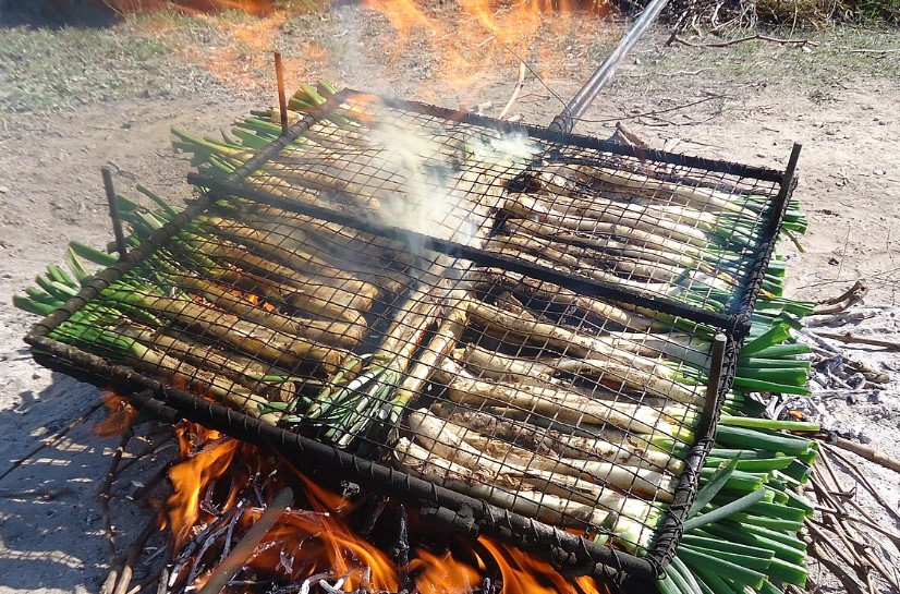 Calçotada Spanien Bis zu 500 Euro Strafe: Barcelonas rigoroses Grillverbot auf Balkonen und Terrassen