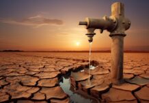 Dürre in Málaga: Wasserrationierung trotz voller Stauseen – Ein Paradox an der Costa del Sol