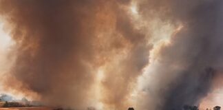 Großbrand in Granyena de Segarra: Fast 10.000 Menschen betroffen – Ausgangssperre verhängt