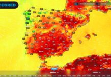 Iberische Feder