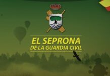 Seprona: Spaniens Umweltpolizei – Seit 36 Jahren Vorreiter im Naturschutz