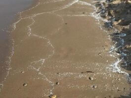 Unbekannte Meeresverschmutzung legt Strände in Valencia lahm: Badeverbot im Süden der Provinz