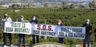 Massenhafte Baumfällung in der Vega de Mestanza: Ein "ökologischer Angriff" sorgt für massive Proteste in Andalusien